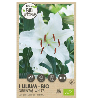Cibule - BIO Lilie �ORIENTAL WHITE� 1 ks v balen�