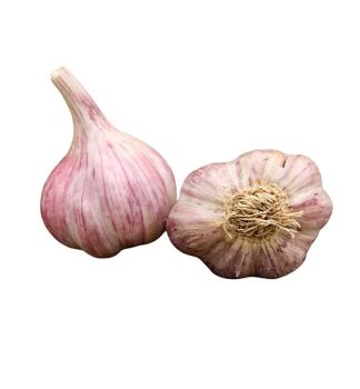 �esnek sadbov� �SLAVIN� 250 g, pali��k, 4 hl�vky