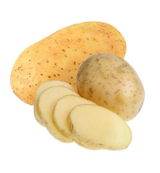 SADBOV� BRAMBORY 'ALEGRIA' 1kg /vani�ka