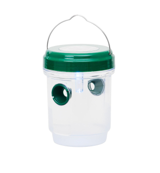 Lapa� hmyzu Strend Pro, sol�rn�