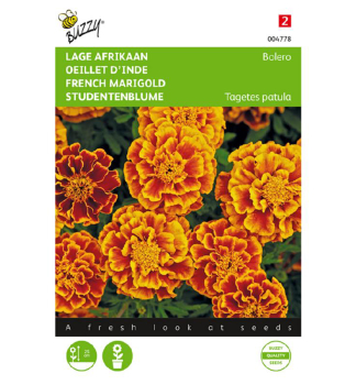 Semena - AKSAMITN�K ROZLO�IT� �BOLERO�