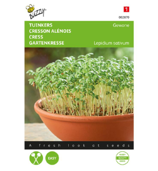 Semena - �E�ICHA OBECN�