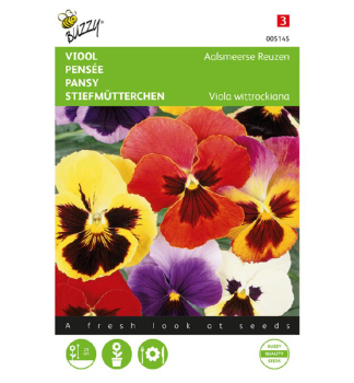 Semena - SIROTKA VELIKOKV�T� sm�s