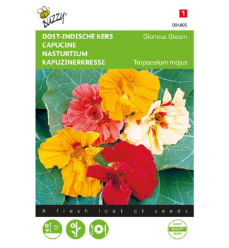 Semena - LICHO�E�I�NICE V�T�� �GLORIOUS GLEAM�