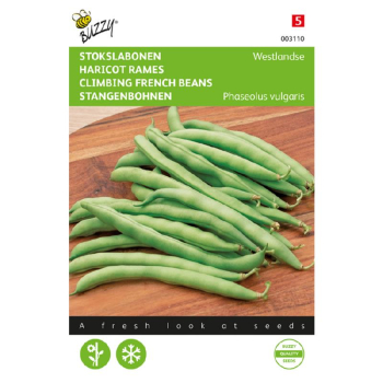 Semena - FAZOLE �WESTLAND�