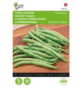 Semena - FAZOLE �WESTLAND�