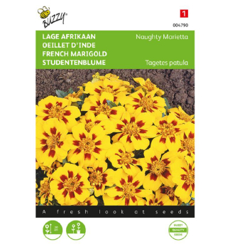 Semena - AKSAMITN�K ROZLO�IT� �MARIETTA�