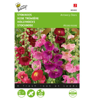 Semena - Topolovka r��ov� (sl�zov� r��e) �ANTWERP STARS� mix