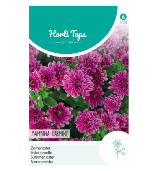 Semena -  HV�ZDNICE ��NSK�  �BAMBINA CARMINE�