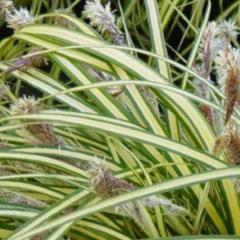 Obr�zok (2)