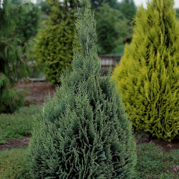 Obrzok (4)