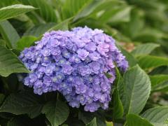 Obr�zok (6)