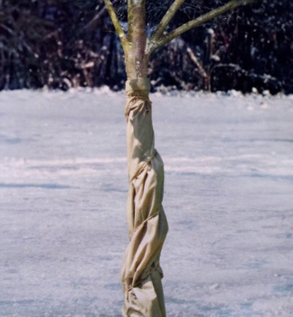 Zimn� ochrana stromk� 5 x 1,5 m