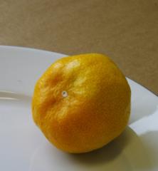 Obrzok (2)