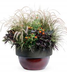 Obr�zok (5)