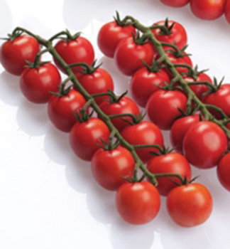 Raj�e cherrry �BINGO F1� kont. 0,5 l