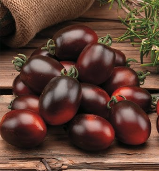 Raje tykov cherry MINIZORRO F1 kont. 0,5 l
