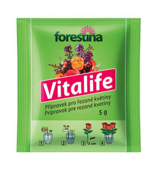 VITALIFE viva ezanch kvtin 5g