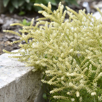 Obr�zok (3)