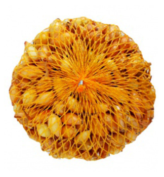 Cibulka sazeka VETANA 10-21 mm, 0,5 kg