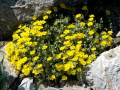 Obrzok (5)