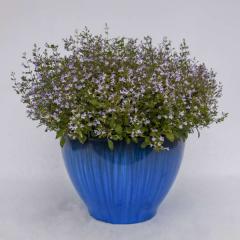 Obr�zok (5)