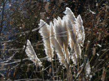 Obrzok (6)