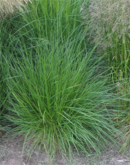 Obrzok (6)