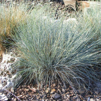 Obrzok (1)