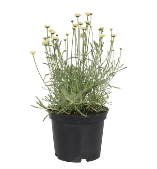 Obr�zok (5)