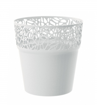 Kvtin NATURO BL 17,5 cm