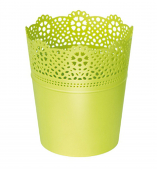 Kvtin LACE s krajkou LIMETA 18 cm