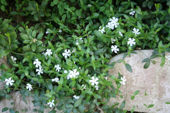 Obrzok (4)