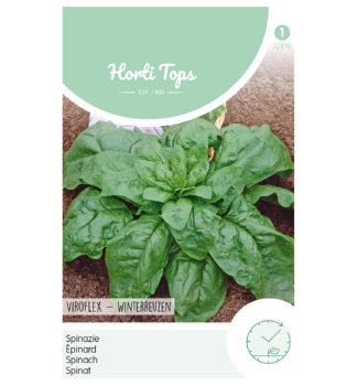 Semena - �PEN�T �GIANT WINTER�