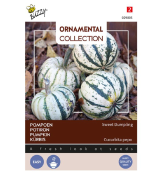 Semena - ORNAMENTAL DE SWEET DUMPLING