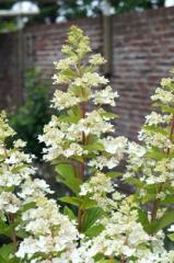 Obr�zok (6)