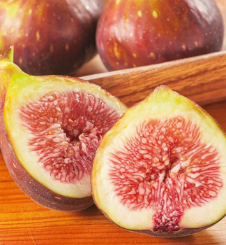 F�kovn�k smokvo� �MORENA�� 30-40 cm, kont. 2 l