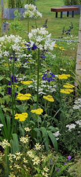 Obrázok (6) Obrázok (6)