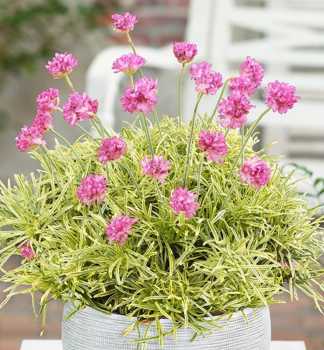 Obrázok (8) Obrázok (8)