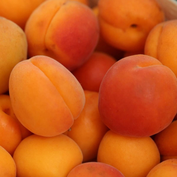 Obrázok (1) Obrázok (1)