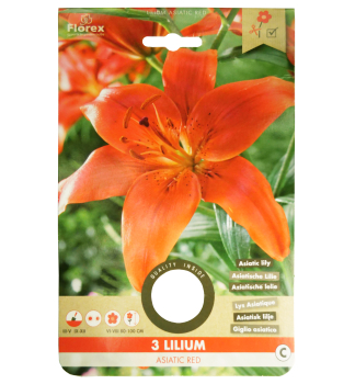 Cibule - Lilie �ASIATIC RED� 3 ks v balen�