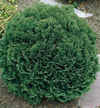 Obrzok (2)