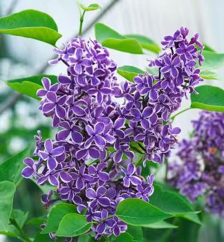 �e��k obecn� �SENSATION� na km�nku 120 cm, kont. 7,5 l